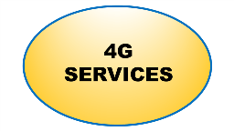 4 g services