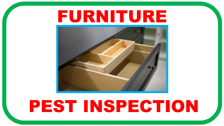 furniture inpsection for pest