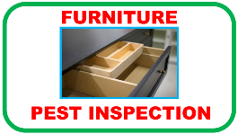 furniture pest inspection