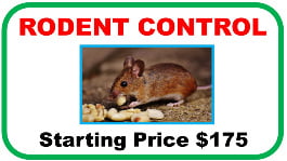 rodent control calgary by pestica