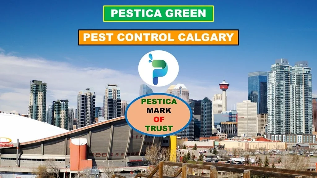 Pestica Green Pest Control Calgary; Mark of Trust